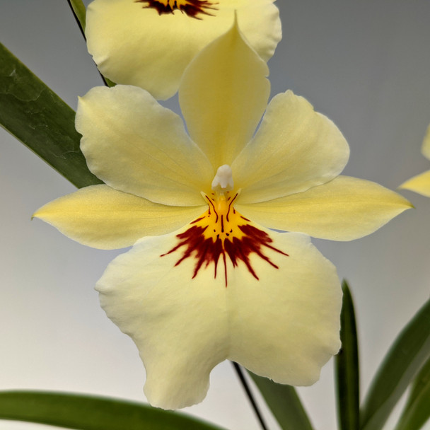 cfa66b07-9a16-40a3-96c2-58bcbd7a78da