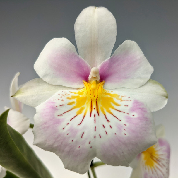 339cd77f-95cd-4a67-b5fe-38ba1cde58c5