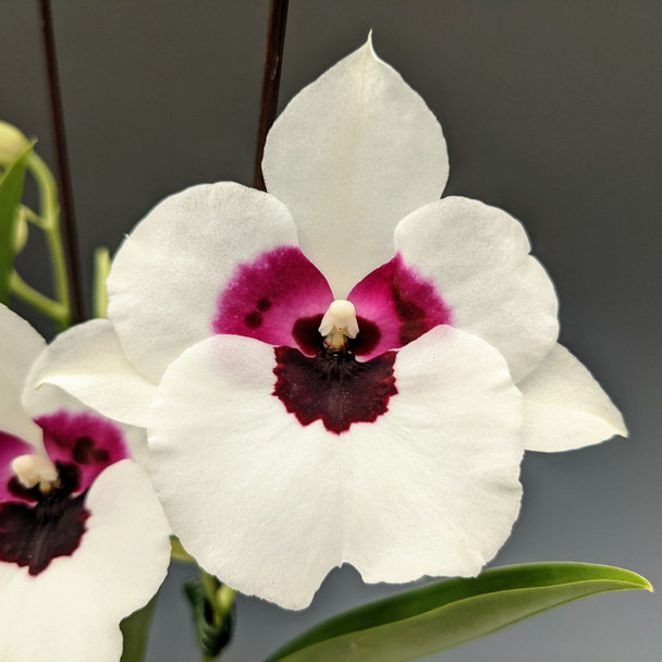 1838947e-e8af-4cf5-a90a-ad77fabd0e23