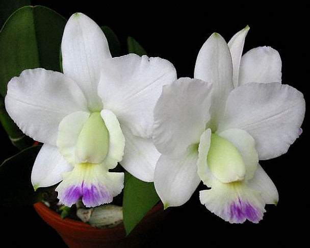 782b9f06-7f21-45bb-8449-6c56cf3bf16c