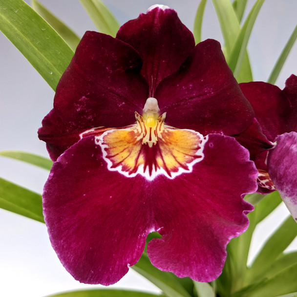 f0e0038c-afee-4763-a470-cd5687bc18fb