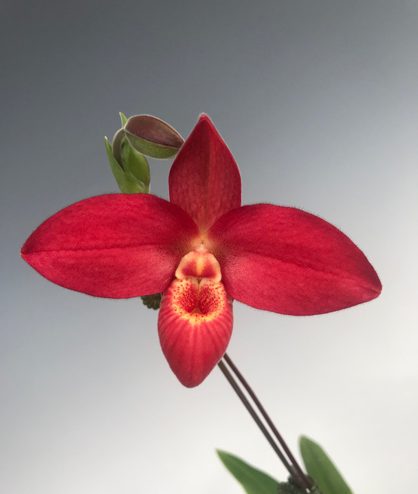 336c46c8-535a-41d4-9f56-1209a1e0cd22