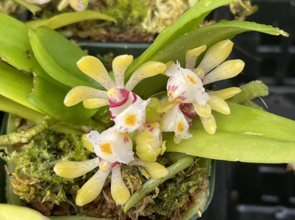 97b90232-6ec0-4dad-bab9-50672ed1dca0