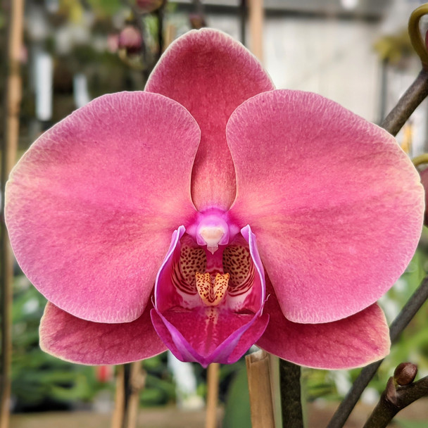 179d86f4-85a5-4100-86f3-d60e92ff368c