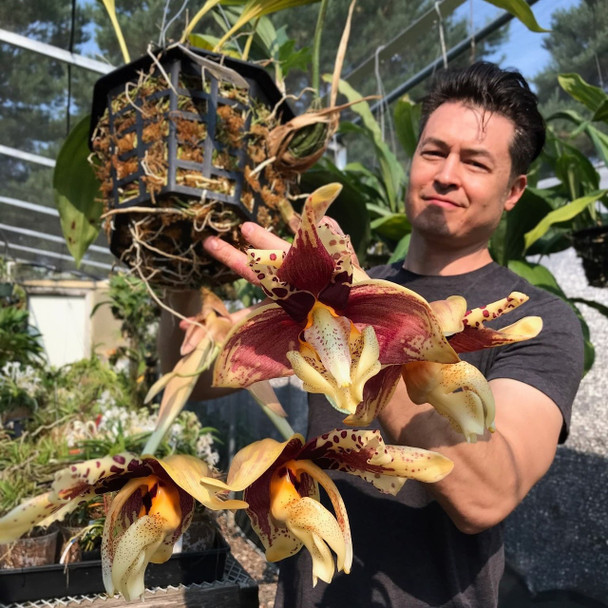 1a0691af-f356-4ca9-bc89-21d7621960b0