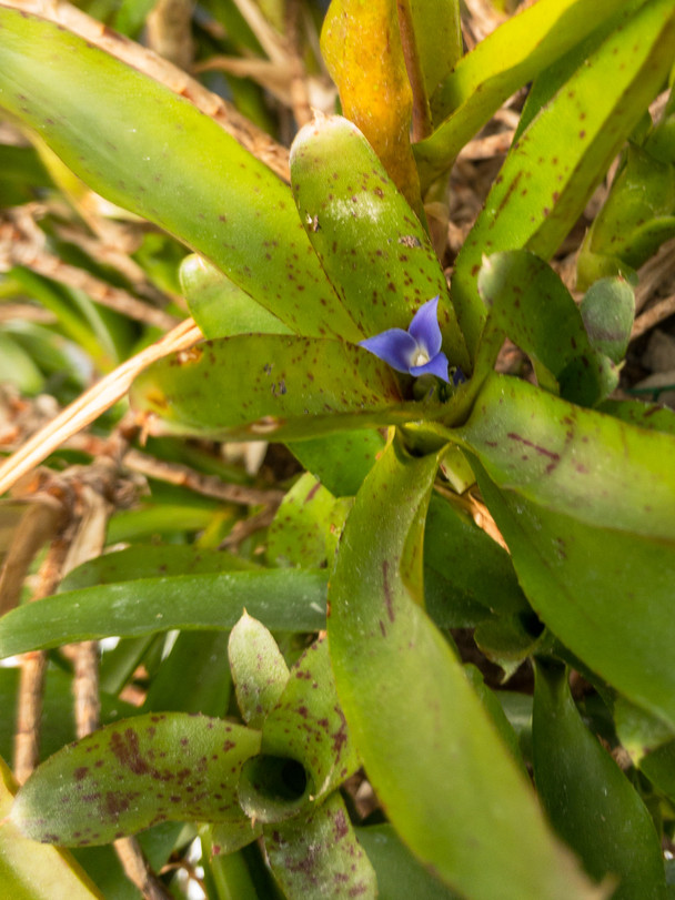 6fefaa67-61fb-4f29-879a-f41bc98149ed