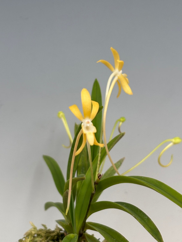 6f600b39-9b00-4e06-885b-342f17e95910