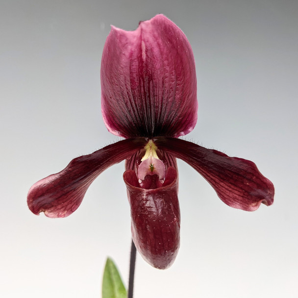 bc97a1f3-12b2-4a1a-a84e-0a99c4517dc4