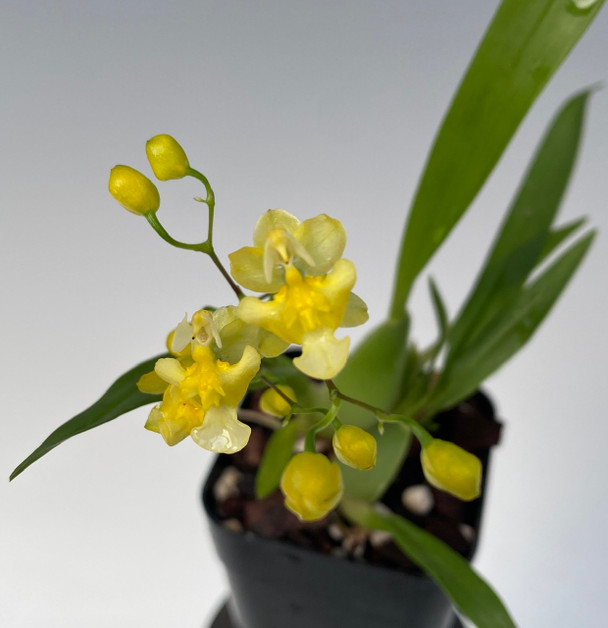 e17a1337-d849-4a1d-a77a-352bc127f718