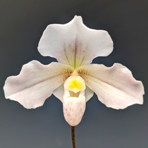 66f906e5-105a-4fa3-a4ca-d77575a9247d