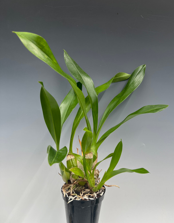 5c460740-5a27-4435-82cc-352de50c4ab2