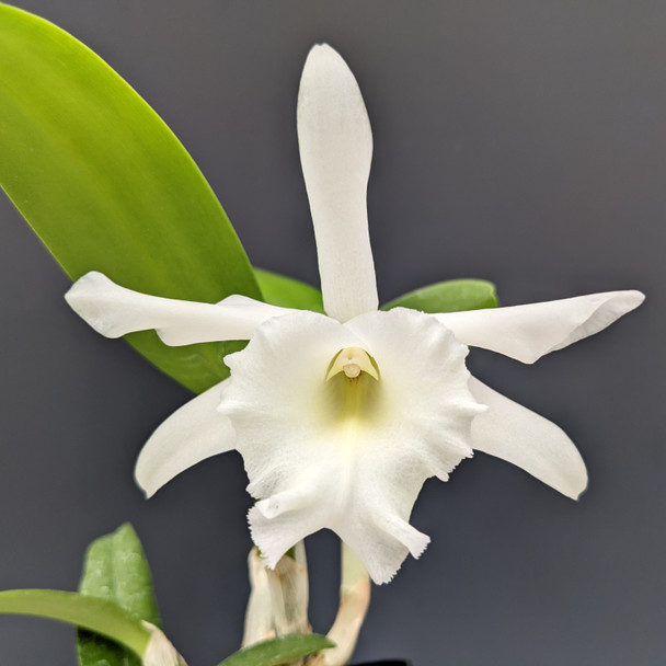 24d04a0f-95d8-408d-9d79-f2df38f9b487