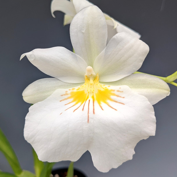 a248a59e-eb8c-43e6-bd07-584d4c2e601b