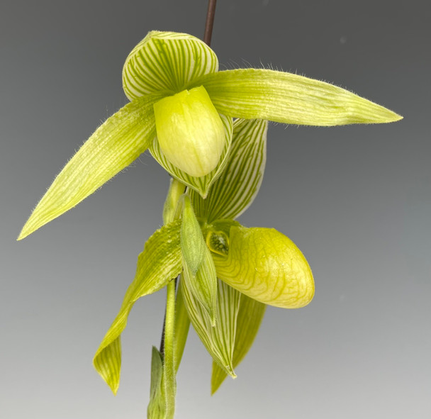 b2855329-2e8a-47fe-b686-0fc4895b6a61