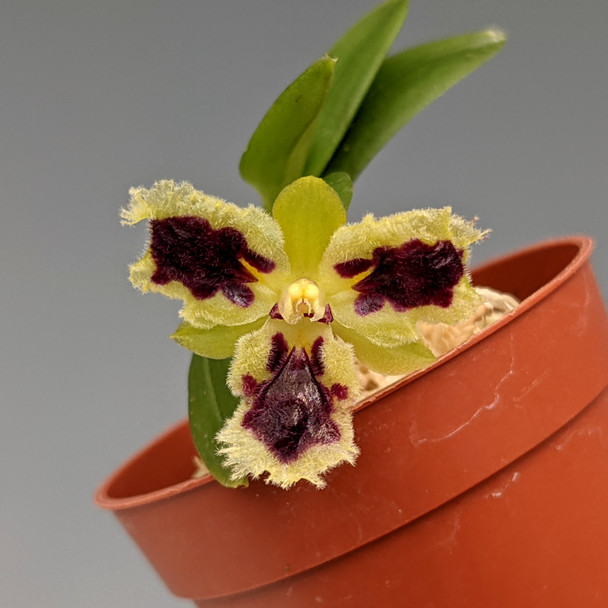 1a644a2a-3328-4c10-a0c8-009de847a9c6