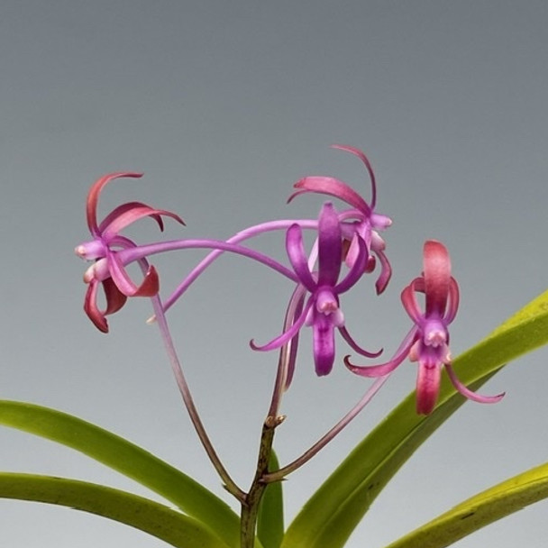 668497e3-418f-43fb-81af-ae20d36bc7fc