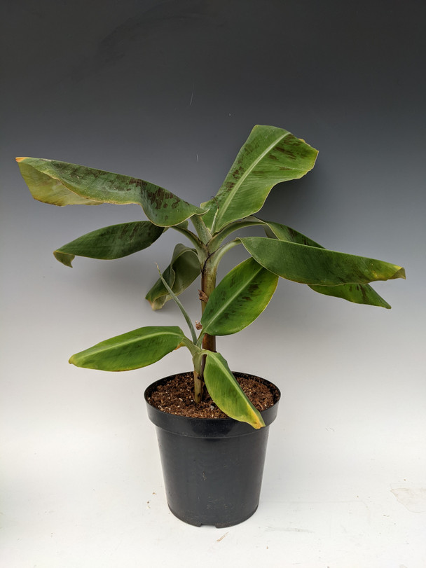 db425659-2dba-4ff5-bd3a-55d55a274b07