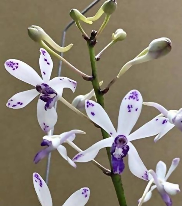 1c54492b-15fb-42d0-bd21-c2c113fac2c3