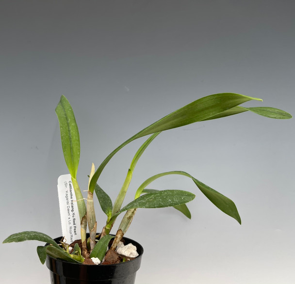 580fda3b-dbaf-4f5c-9ccd-