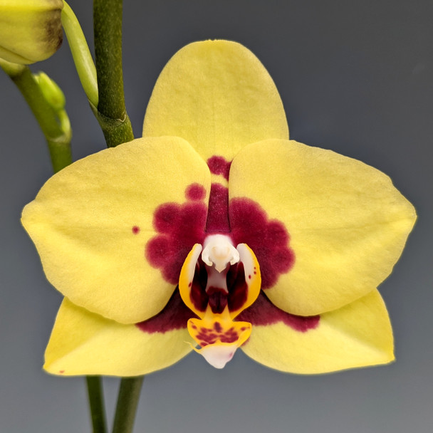 ca9fc57a-7e09-4a31-82c5-8af479c6954c