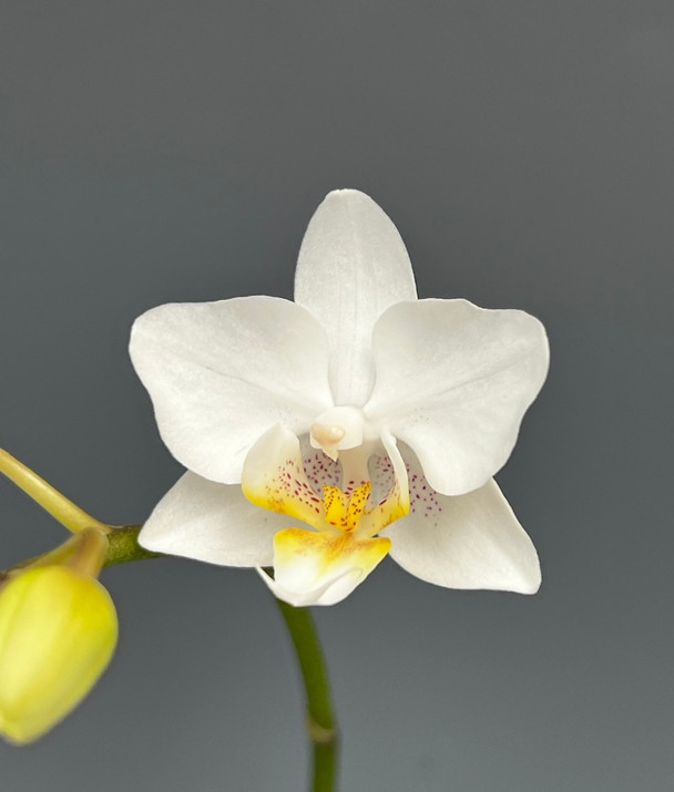 a4f06c15-0cec-4b8d-9ab8-1afa0c5d30b5