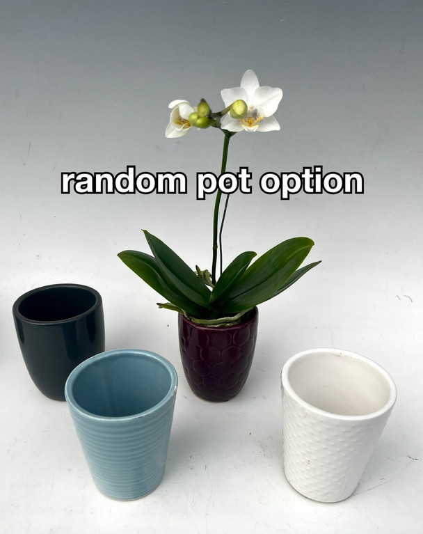 ca7c2cf1-f4c7-42af-88b6-e62dc7d39579