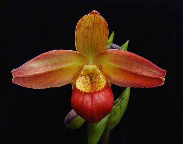 08b28155-4ee8-4dcf-a8f2-7e8c438b65a8