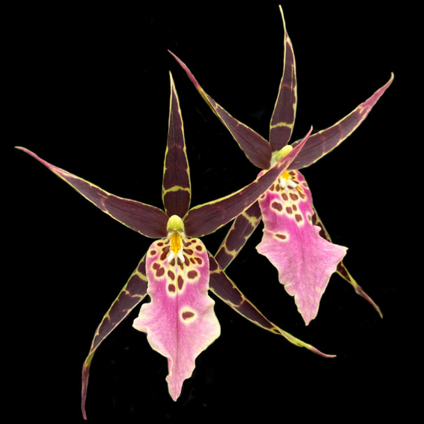 9ad9d7ca-52e9-4a22-a566-e0b32b93a098