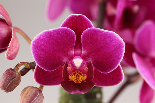 e29c0ef5-2515-44fc-b99f-4e9e1f294459