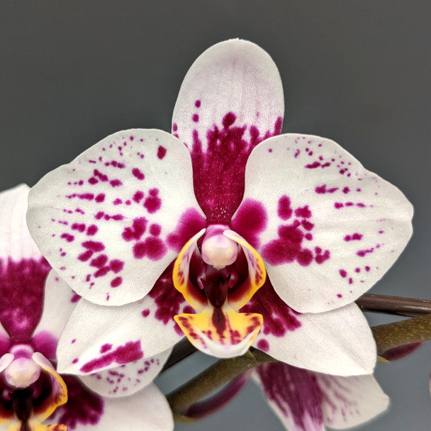 9445b1cc-ff0e-45b4-a144-0a8e876fe20b