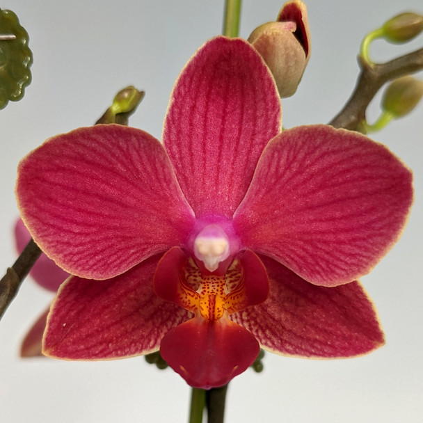 ee55e2b0-d57e-4f40-a0d5-14e8987d6987