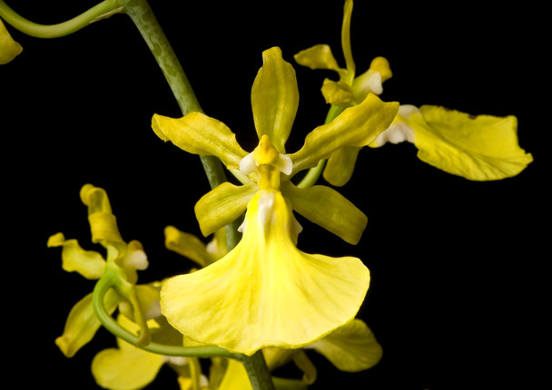 70e37a19-12a6-4822-aa5e-068cbb8ab054