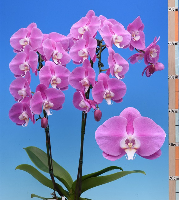 e0a4fd1f-c14f-4b5b-919b-8d3220e1503c