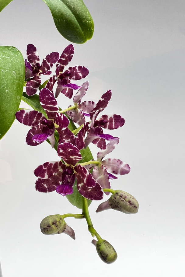 a052349a-f703-441c-a969-d84fa4d321c7