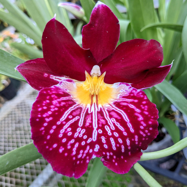 b215c7c3-09ba-4b3f-be7a-3ed300b1face