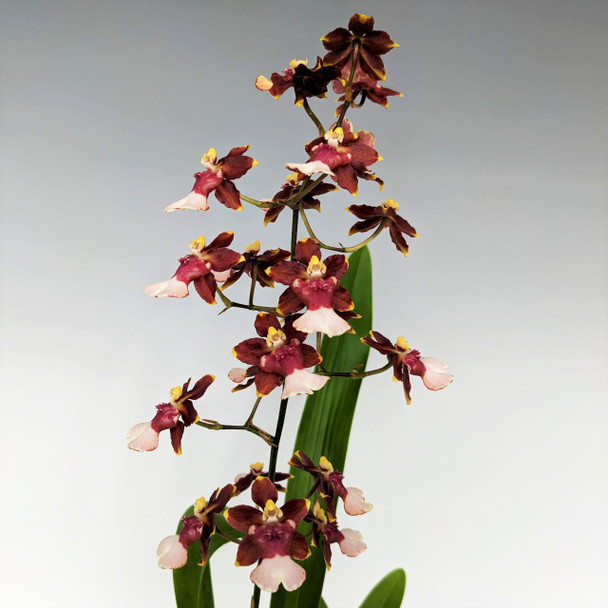 91e4b1e6-cc3f-464c-b3f1-2ca2a611c6d5