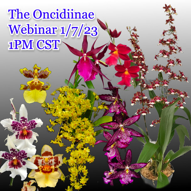 90e57763-d199-49c2-be57-6dfba1d31a77