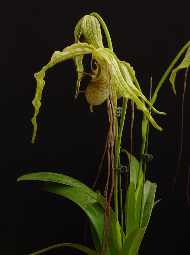 2c6de4ac-02aa-41ff-bd43-84378f5c1145