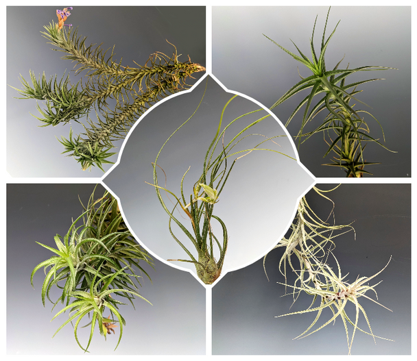 119f495c-df7d-4c86-bdbf-c66f86da1d9a