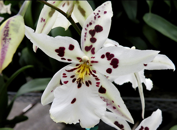 33babfc4-33ca-4272-bcc7-da1612e903a3