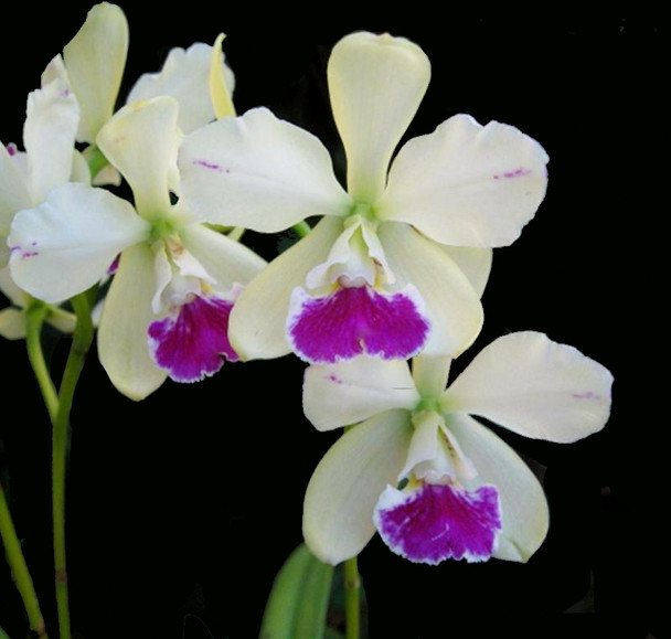 7c0f7969-716d-4756-b9e7-f8c3aa075ca0