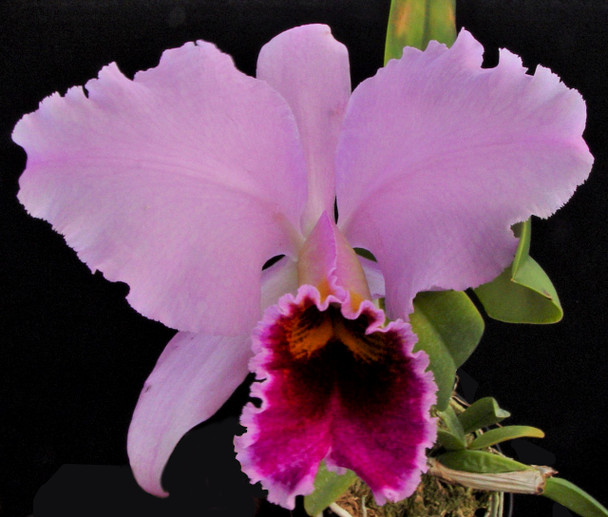 fd3220d8-6798-48f2-8f60-00fd4e99094d