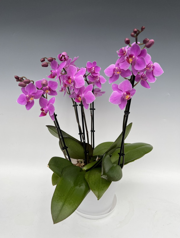 f94b267d-46eb-471e-916d-5ff1fdc4dff5