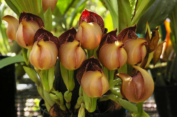 b885a18e-3e5a-4106-ad46-0bf0b3838df3