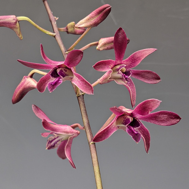 c7647036-9302-4a4e-9ed8-9ca407db0af4