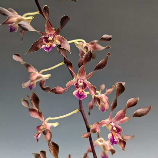 2ef5439a-4459-4757-86da-bf27e949318c