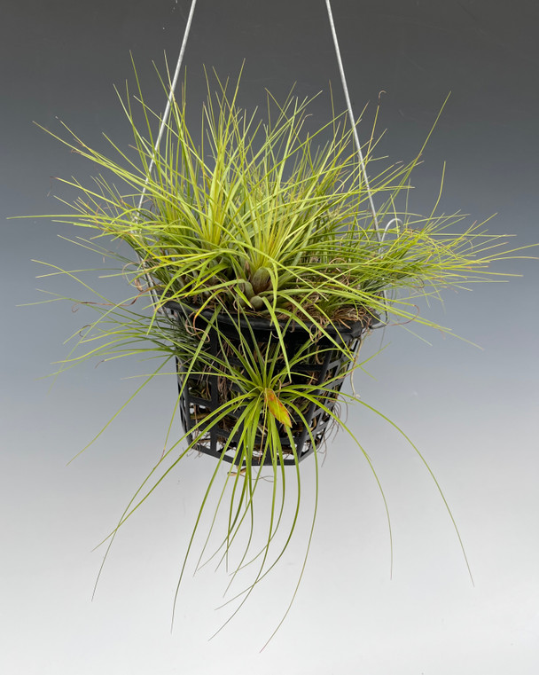 1b94d707-d736-41f6-88d1-734241a2d532