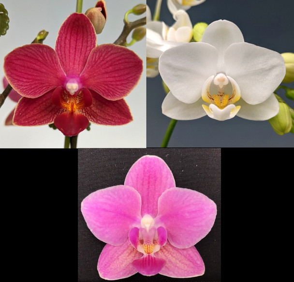 bfb97709-ef0a-43bd-a866-cc8cd7942b66