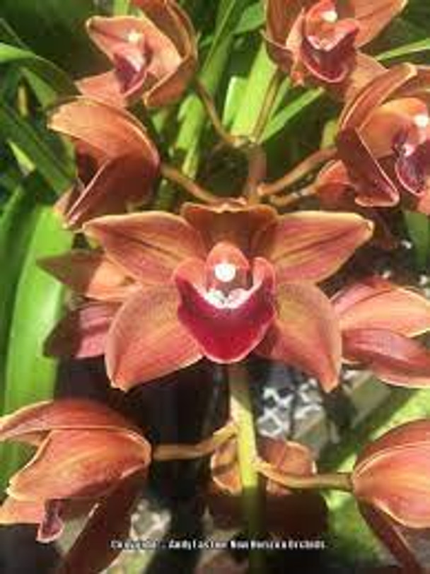 c9f28e3c-e44c-4ec5-b80d-e899c4efb960