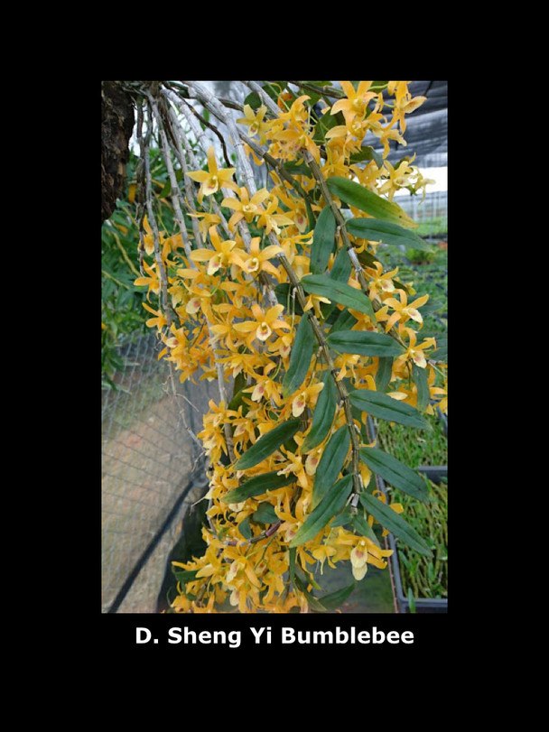 777154cd-a133-4b6e-ad30-574e8e48d620